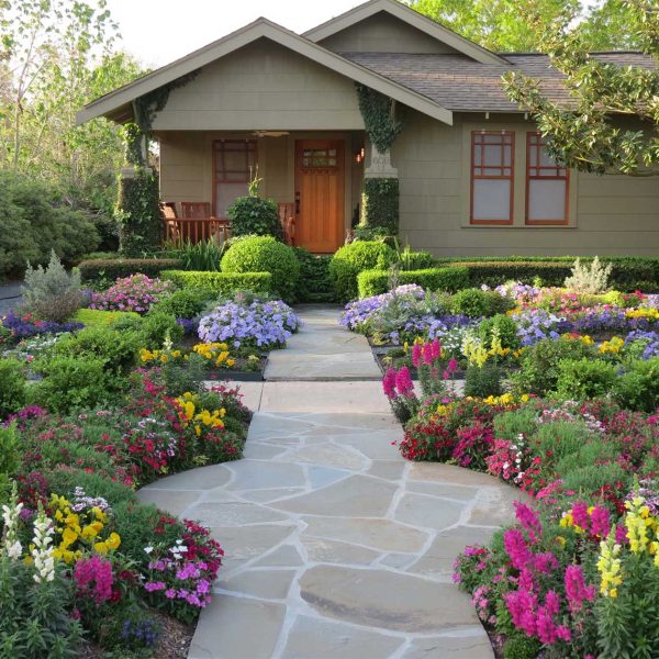 Garden design and landscaping