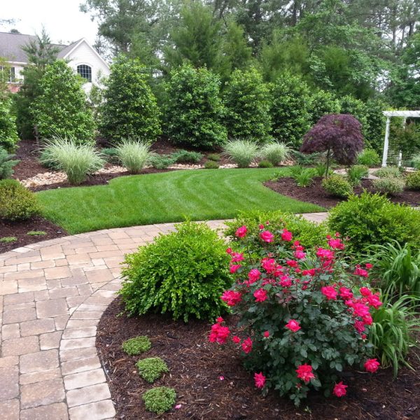 Backyard landscaping professionals
